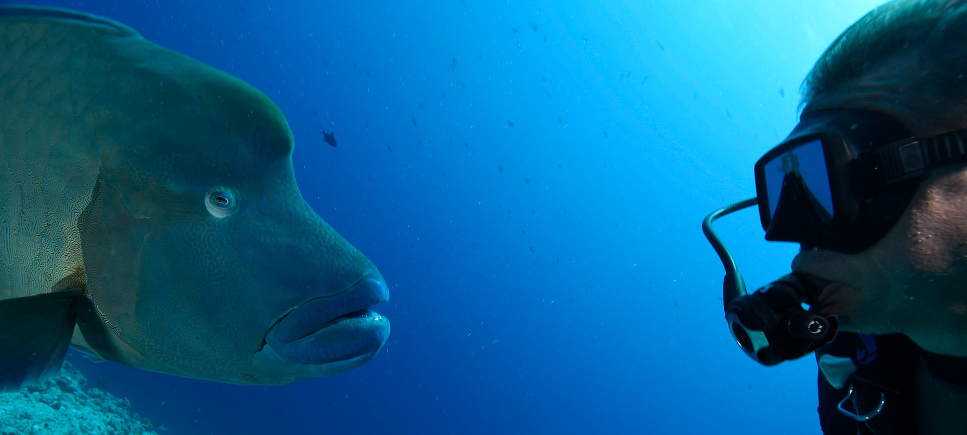 2. Discover the Wonders of Palau